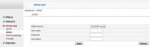 Advanced -> DDNS