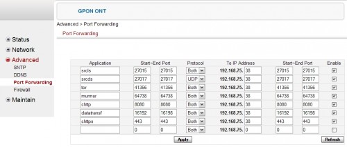 Advanced -> Port Forwarding