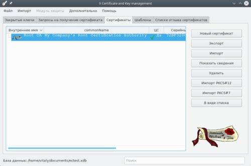 Окно XCA с созданным корневым сертификатом